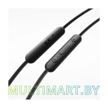 Наушники Xiaomi Type-C Earphones M2413E1 (черный, международная версия) картинка 4